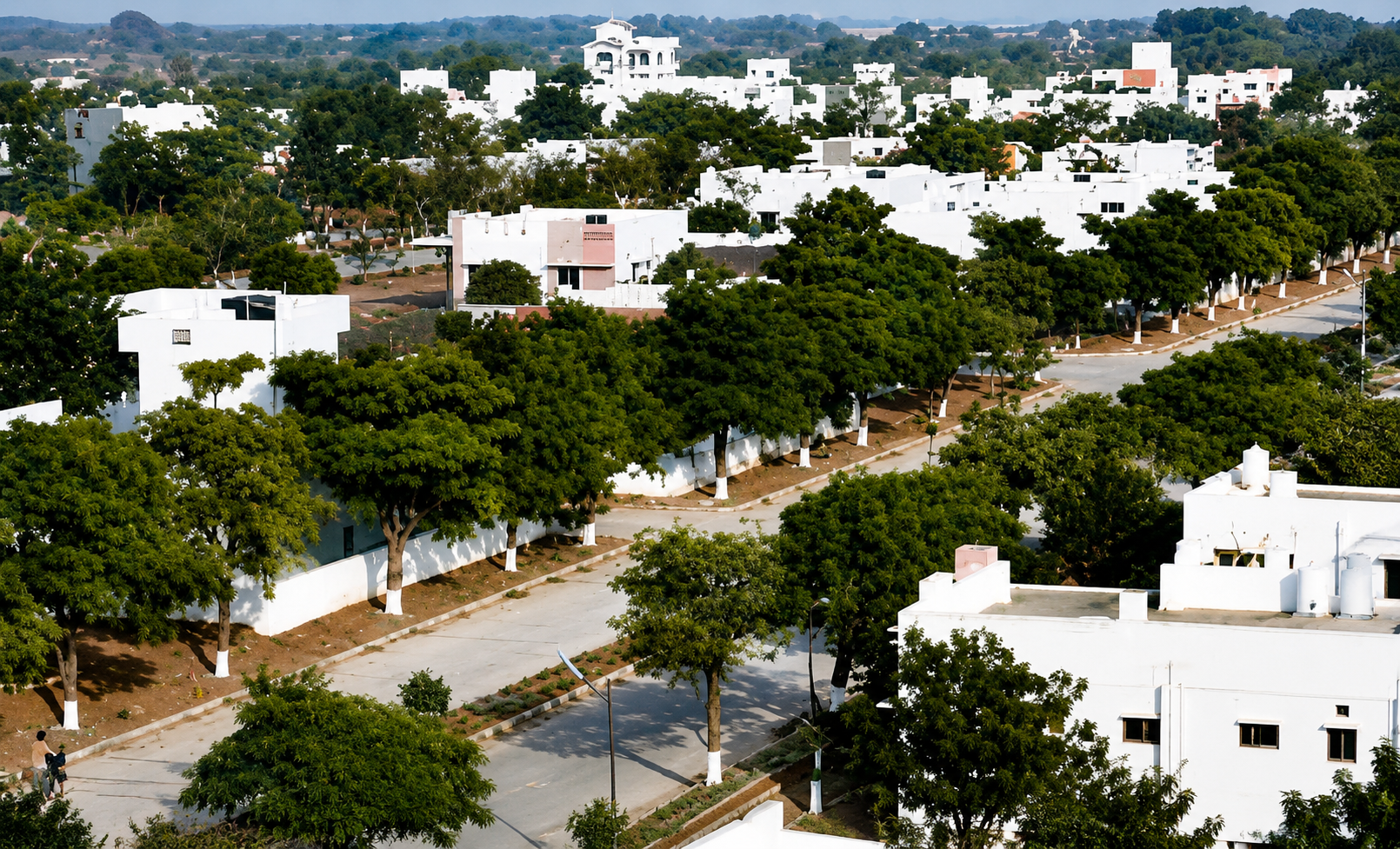Lotus Avenue